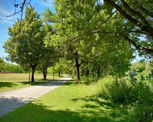 Stadt-ingolstadt-heimatstadt-klenzepark